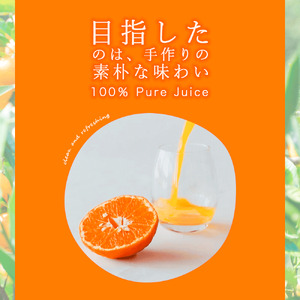 伊藤農園 100%ピュアジュース みかんしぼり180ml×20本(B442-3)