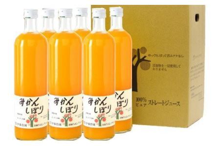 伊藤農園 100%ピュアみかんジュース大瓶750ml×6本セット(B484-1)