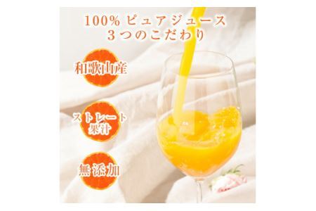 伊藤農園 100%ピュアみかんジュース大瓶750ml×6本セット(B484-1)