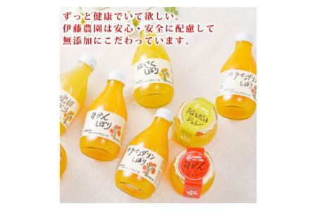 伊藤農園 100%ピュアみかんジュース大瓶750ml×6本セット(B484-1)