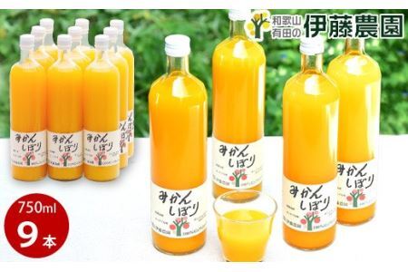 伊藤農園 100%ピュアみかんジュース大瓶750ml×9本セット(B636-3)