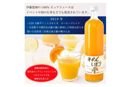 伊藤農園 100%ピュアジュース飲み比べ750ml×9本セット（B79-3）