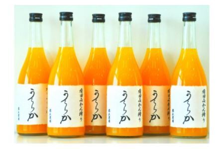 有田みかん搾り「うららか」6本セット(B292-1)