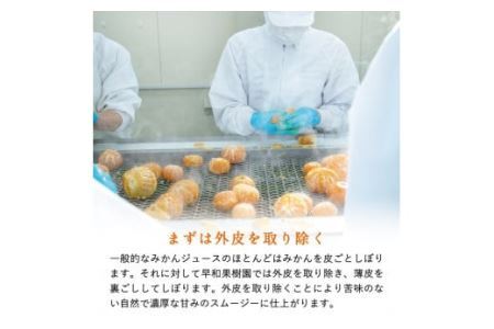 【早和果樹園】おふくろスムージー有田みかん20本入 飲むタイプのみかんゼリー(B623-3)