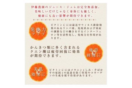 伊藤農園 ピュアフルーツ寒天ジュレドリンクタイプ きよみ 12本セット(B638-3)