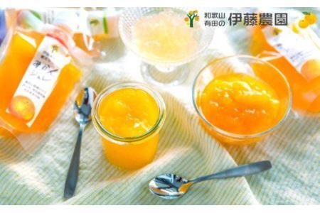 523. 伊藤農園 ピュアフルーツ寒天ジュレ ドリンクタイプ　温州みかん12本セット(B523-3)