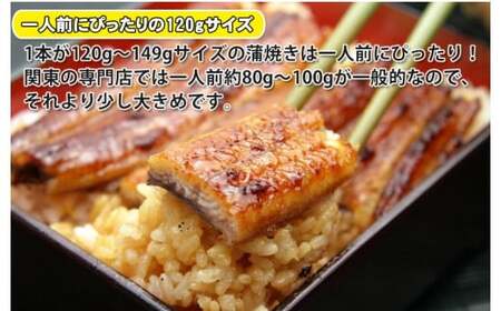 国産うなぎ蒲焼2本セット（120～149g）(B268-1)