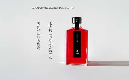 MIYAYOSHI No.06 LARGE BOTTLE（B966-1）