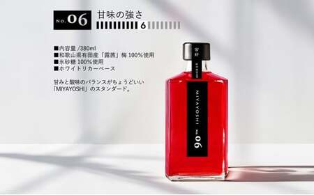 MIYAYOSHI No.06 LARGE BOTTLE（B966-1）