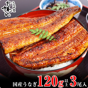 国産うなぎ蒲焼き120g3本セット(B994-1)