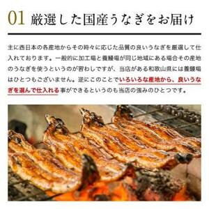 国産うなぎ蒲焼き大サイズ150g 4本セット(B997-2)