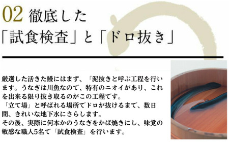 特大サイズ国産うなぎ蒲焼き170g3本セット(B999-1)