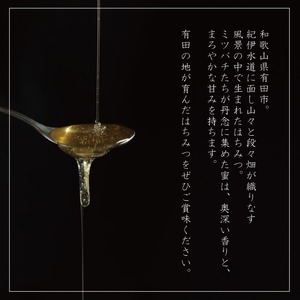 山花のはちみつチューブボトル300ｇ 2個（B1015-1）