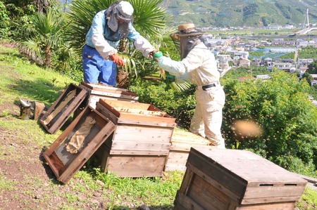 山花のはちみつチューブボトル300ｇ 2個（B1015-1）