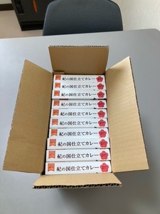 紀の国仕立てカレー【ポーク】10個セット（B1020-1）