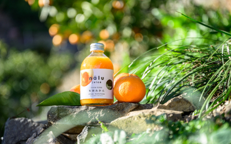 鳴川農園nalu juice 有田みかんジュース250ml×6本(B1026-2)