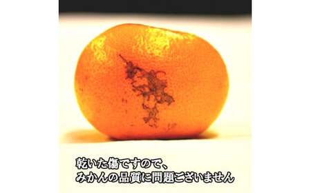 有田みかん「風のしるし」（約5kg）(B1051-1)