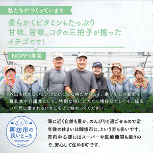 《2月発送平日》農家直送 完熟まりひめ（和歌山県オリジナルブランド いちご）4パック 【配送不可地域：北海道・沖縄・離島】