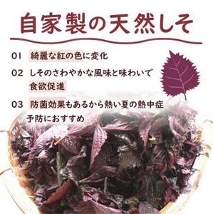 【1126-2】しそ漬け梅干し（紀州南高梅）1.6kg 中粒 2L 和歌山県産