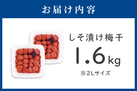 【1126-2】しそ漬け梅干し（紀州南高梅）1.6kg 中粒 2L 和歌山県産