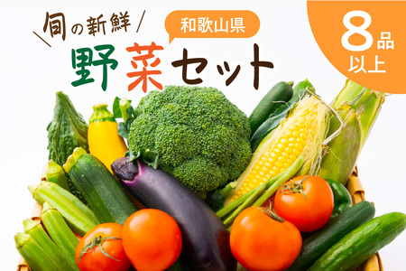 【1170-1】旬の新鮮野菜セットたっぷり8種以上