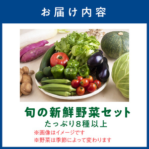 【1170-1】旬の新鮮野菜セットたっぷり8種以上