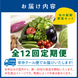 【8057-1】【定期便】旬の新鮮野菜セットたっぷり8種以上　12か月
