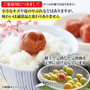 【1182-1】【ご家庭用】はちみつ梅干し 1.2kg（紀州南高梅） 和歌山県産