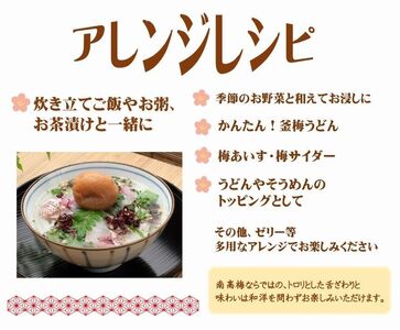 【7025】紀州南高梅「花」塩分約6%(500g)