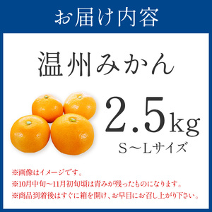 【1171-2】「濃厚な味のとろける美味しさ」温州みかん 2.5kg《先行予約》