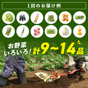 【1215】紀州の野菜・果物セット(9~14品目)