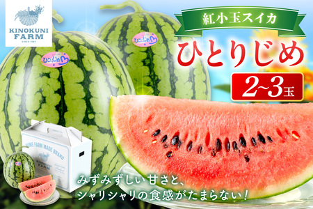 【0750-4】自農園産　紅小玉スイカ「ひとりじめ」2～3玉≪先行予約≫2026年6月中旬から順次発送【配送不可地域：北海道・青森・秋田・岩手・沖縄・離島】
