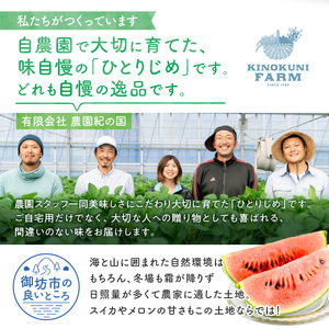 【0750-4】自農園産　紅小玉スイカ「ひとりじめ」2～3玉≪先行予約≫2026年6月中旬から順次発送【配送不可地域：北海道・青森・秋田・岩手・沖縄・離島】