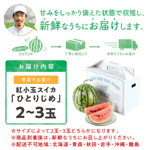 【0750-4】自農園産　紅小玉スイカ「ひとりじめ」2～3玉≪先行予約≫2026年6月中旬から順次発送【配送不可地域：北海道・青森・秋田・岩手・沖縄・離島】