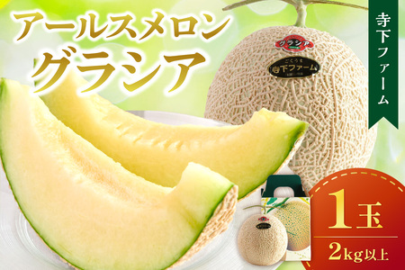 【1127-1】大玉1玉2キロ以上 ごくうま アールスメロングラシア《先行予約》【2026年6月下旬より順次発送予定】