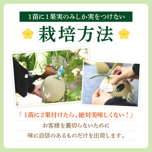 【1127-1】大玉1玉2キロ以上 ごくうま アールスメロングラシア《先行予約》【2026年6月下旬より順次発送予定】