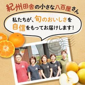 【0047-4】フルーツ王国和歌山のフルーツセット