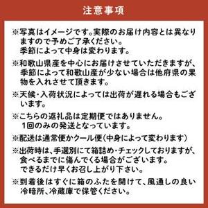 【0047-4】フルーツ王国和歌山のフルーツセット