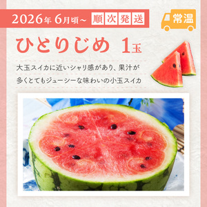 【8068】≪2026年発送分≫産地直送！くだもの 定期便「お試しパック」御坊の農家からあなたへ。Ⅱ【配送不可地域：北海道・青森・秋田・岩手・沖縄・離島】