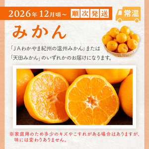 【8068】≪2026年発送分≫産地直送！くだもの 定期便「お試しパック」御坊の農家からあなたへ。Ⅱ【配送不可地域：北海道・青森・秋田・岩手・沖縄・離島】