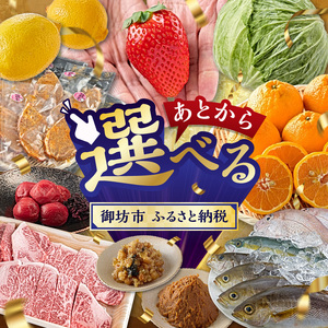 【9998-6】あとからセレクト【ふるさとギフト】寄附10万円相当