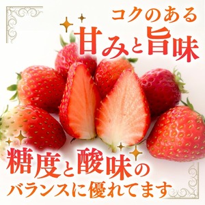 【1226_03】農家直送!大粒完熟まりひめ いちご 2パック(3月発送)配送不可地域【北海道・沖縄・離島】