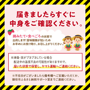 【1226_03】農家直送!大粒完熟まりひめ いちご 2パック(3月発送)配送不可地域【北海道・沖縄・離島】