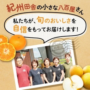 【0051-3】和歌山産 しらぬひ【デコポン】約4.5kg 濃厚春みかん≪2026年2月下旬頃より順次発送分≫