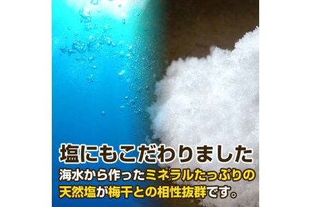 紀州南高梅 特選a級 白干梅 梅干し 1kg 無添加 和歌山県産 和歌山県御坊市 ふるさと納税サイト ふるなび