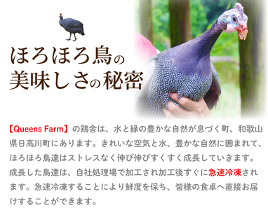 【1261-1】ほろほろ鳥のBBQセット逢母の塩付(1～2人前）