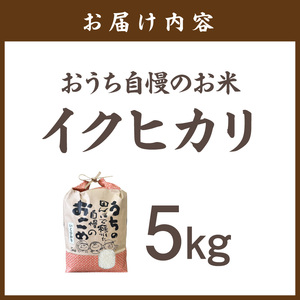 【1296】おうち自慢のお米　イクヒカリ 5kg