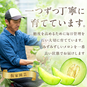 【0262-4】農家直送!和歌山県御坊市産アールスメロン2玉≪先行予約 2026年7月より順次発送分≫ メロン