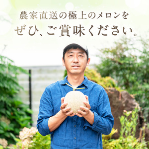 【0262-4】農家直送!和歌山県御坊市産アールスメロン2玉≪先行予約 2026年7月より順次発送分≫ メロン
