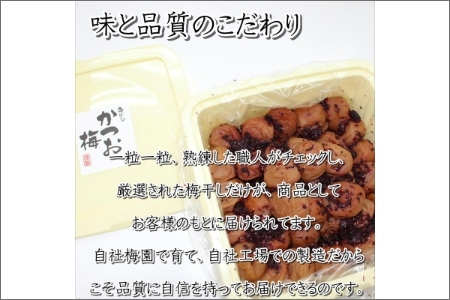 【0461-6】紀州南高梅使用 かつお梅(塩分8%) 1.5kg(和歌山県産)